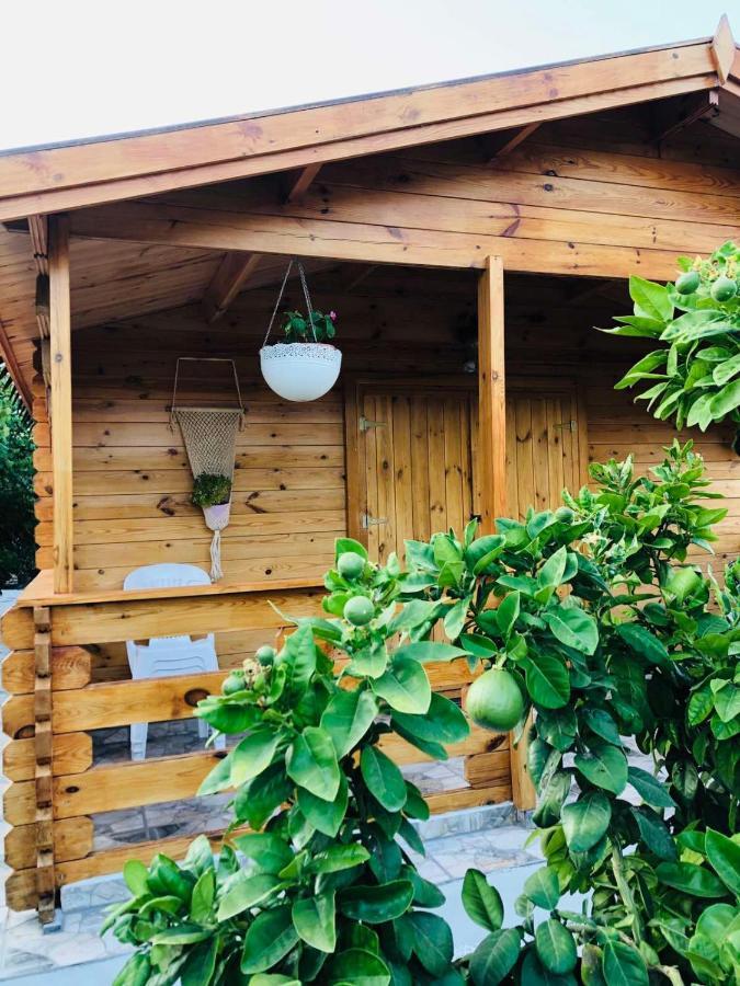 Agios Theodoros Happy Glamping Cyヴィラ エクステリア 写真