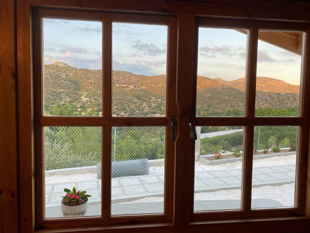 Agios Theodoros Happy Glamping Cyヴィラ エクステリア 写真