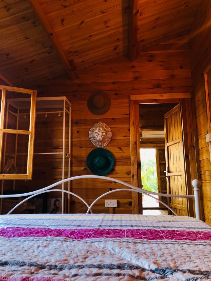 Agios Theodoros Happy Glamping Cyヴィラ エクステリア 写真