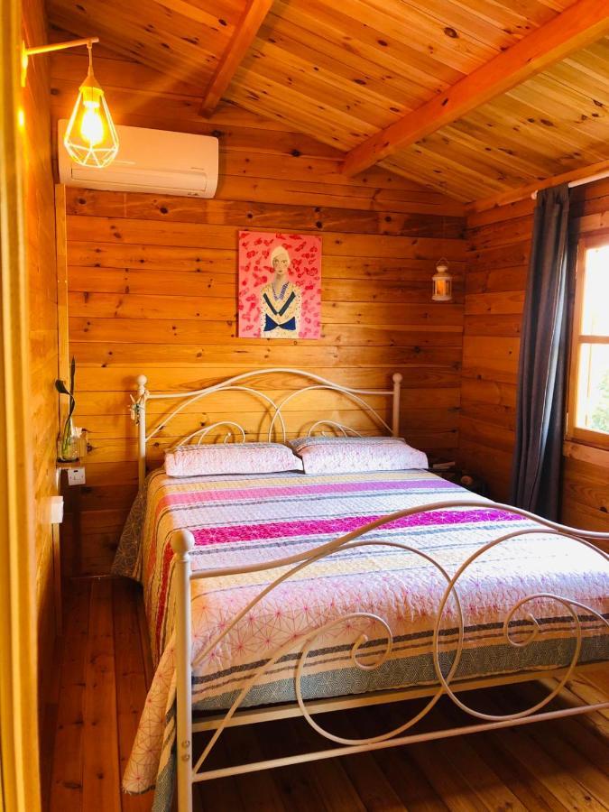 Agios Theodoros Happy Glamping Cyヴィラ エクステリア 写真