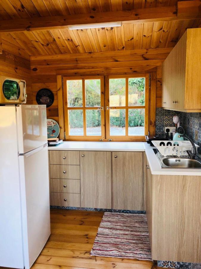 Agios Theodoros Happy Glamping Cyヴィラ エクステリア 写真
