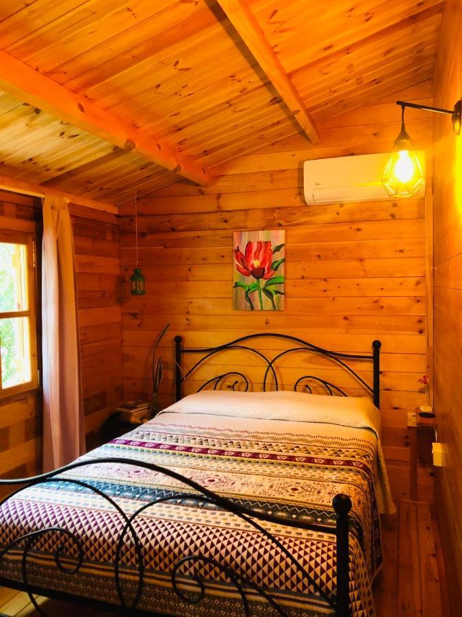 Agios Theodoros Happy Glamping Cyヴィラ エクステリア 写真