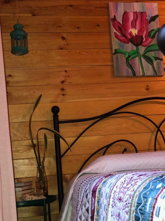 Agios Theodoros Happy Glamping Cyヴィラ エクステリア 写真