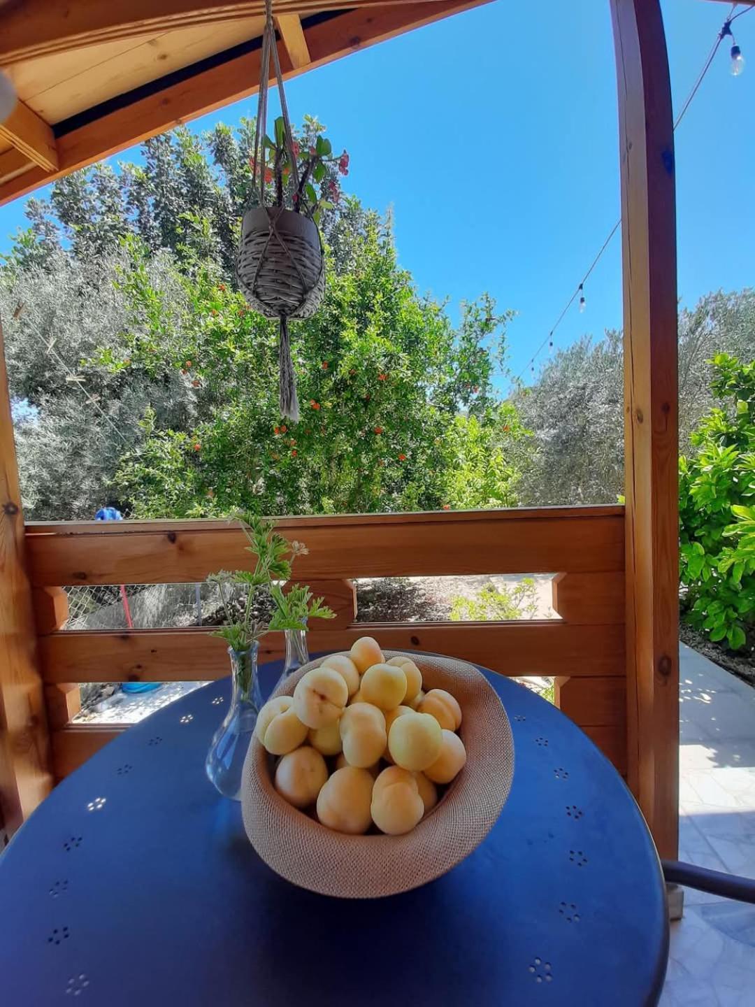 Agios Theodoros Happy Glamping Cyヴィラ エクステリア 写真